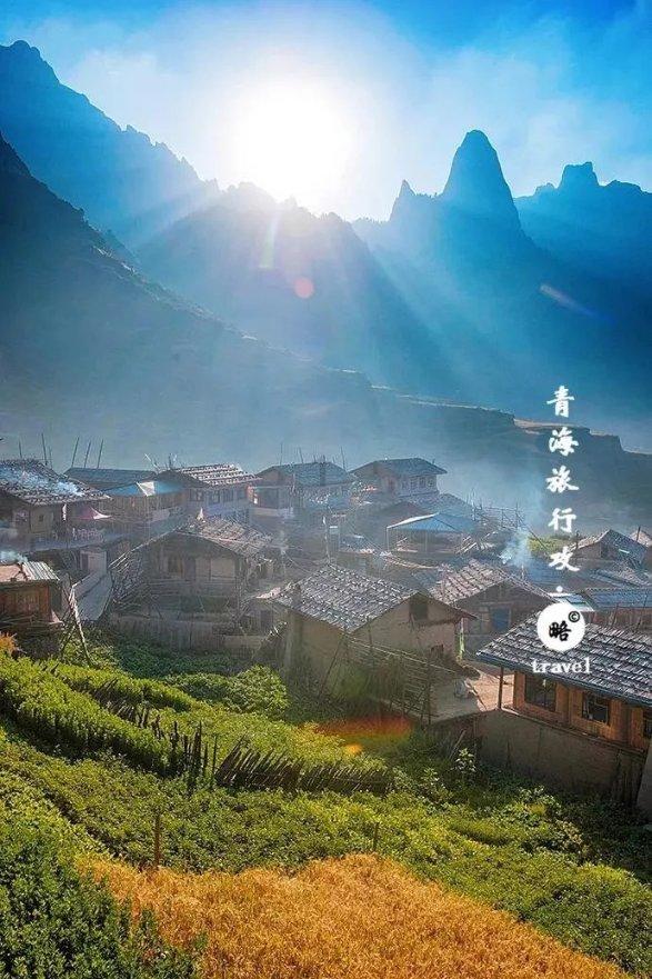 营救小乌龟