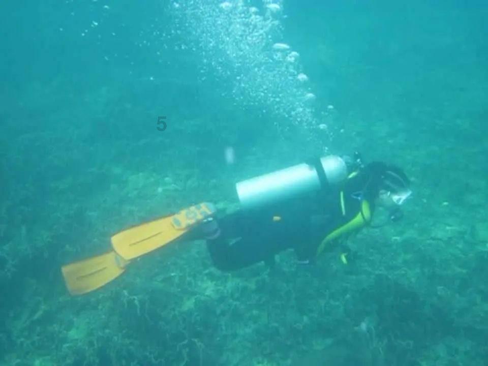 威海市第十一批市管社会组织评估结果公示