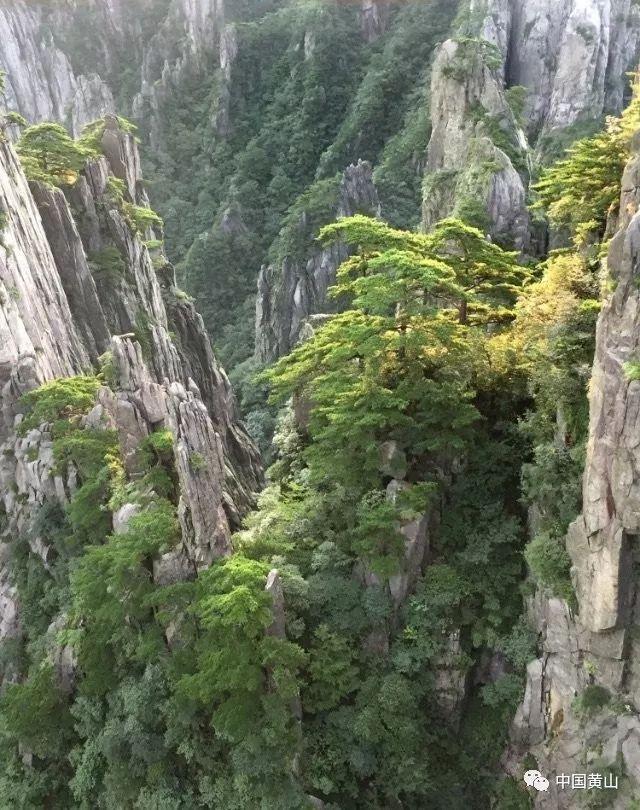 兴安盟森林消防支队科右中旗中队开展野外拉练